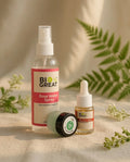 Summer Refresh Kit